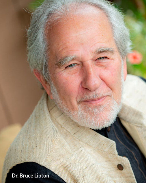 Bruce-Lipton